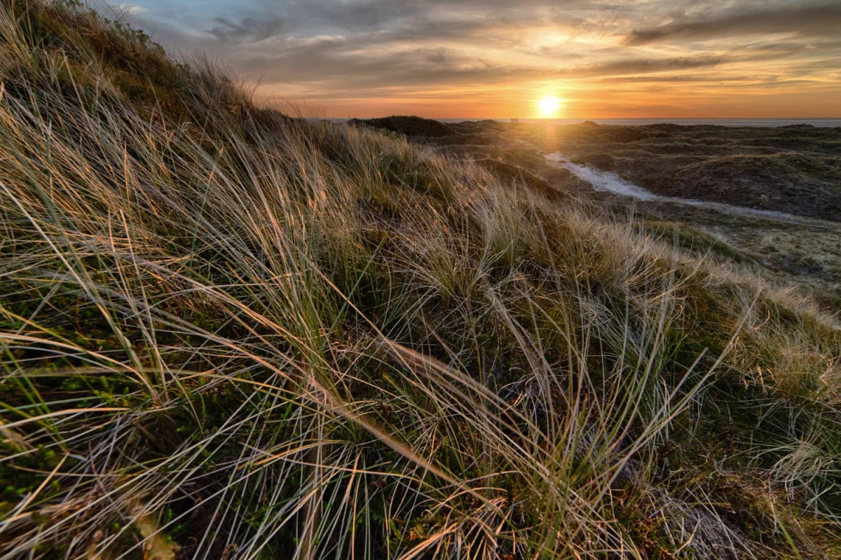 Czy w 2021 warto  kupić rolety?