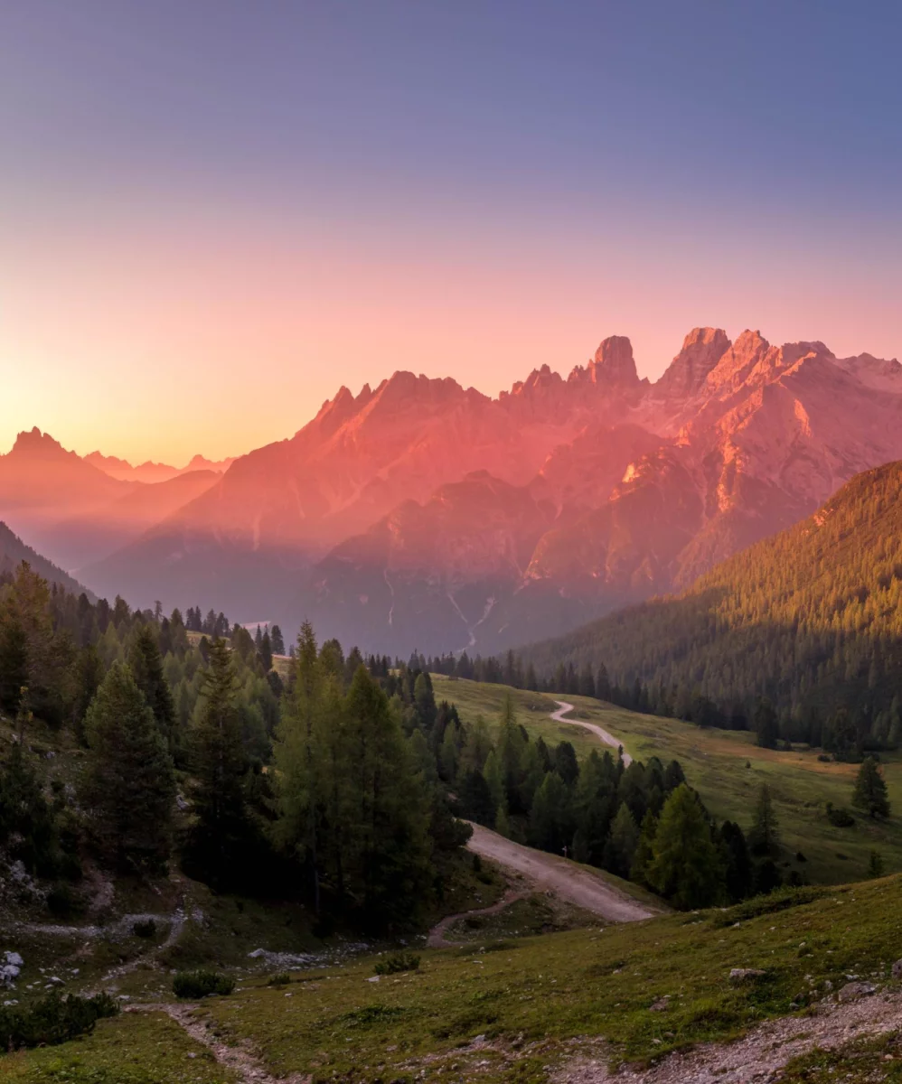 Wszystko na event do wypożyczenia